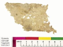 1 / 1 leaf, verso