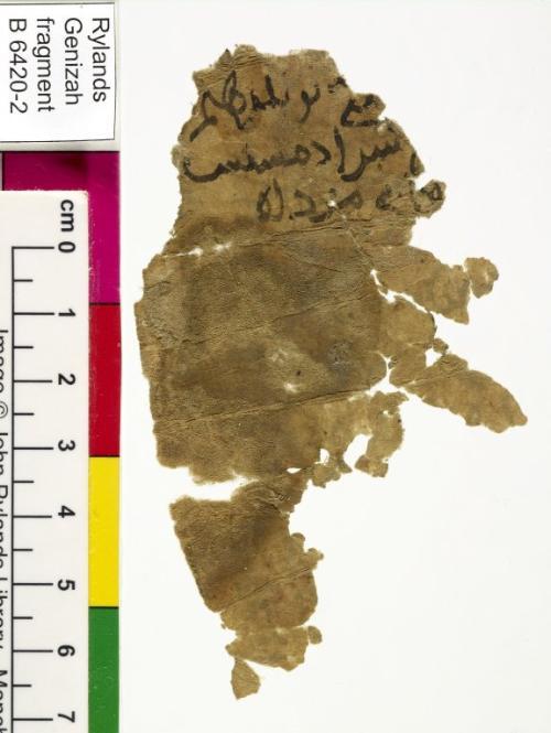 1 / 1 leaf, verso