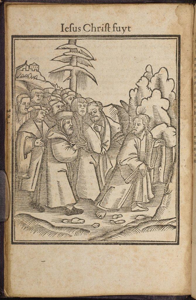 Faitz de Jesus Christ et du pape - [1560?]